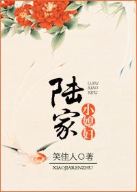 陆家小媳妇无删减版免费阅读