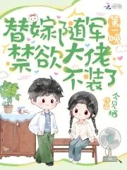 替嫁将军by不许