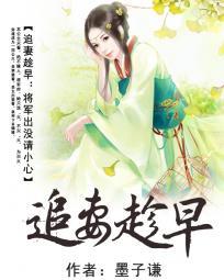 将军追妻手册