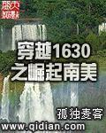 穿越1630之崛起南美简介