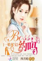 一胎双宝boss复婚吧