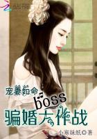 宠婚如玉boss宠妻无度免费阅读