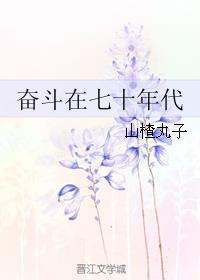 奋斗在七十年代女穿男