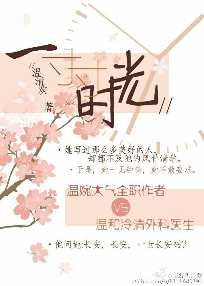 一寸寸时光讲什么的