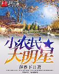 小农民大明星txt精校版