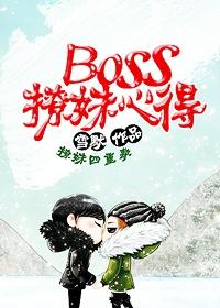 boos 撩妻攻略