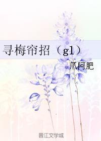 寻梅帘招是什么类型的