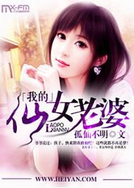 我的仙女老婆txt