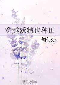 穿越成妖精的