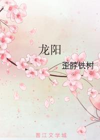 龙阳路磁悬浮列车票价