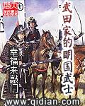 武田家的明国武士txt