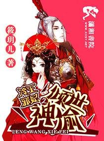 冷王邪妃之倾世神偷